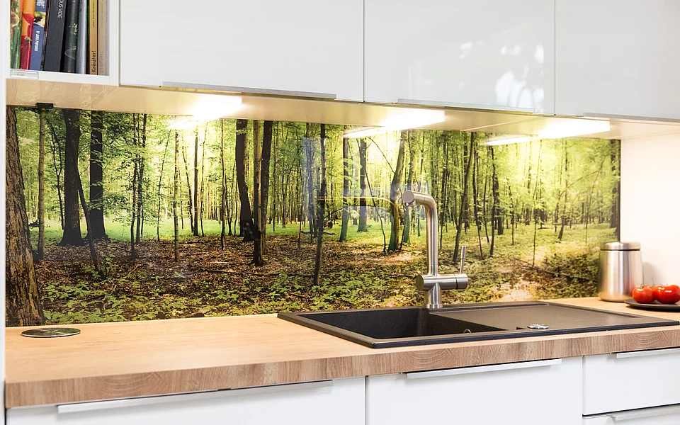 Moderne Küche mit Kochfeld und direktem Blick in die Natur durch große Fenster, umgesetzt vom Küchenstudio Lorinser